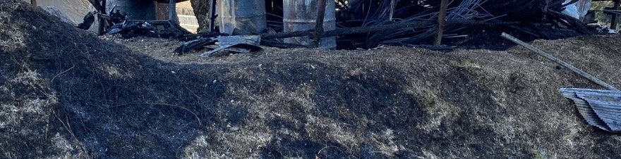 �л�🔥�ä�����✫�Ĥ��������̿�