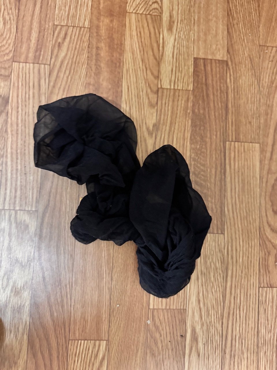 �Ĥ᤬���ޤ��ʾСˡä�����✫�Ĥ��������̿�