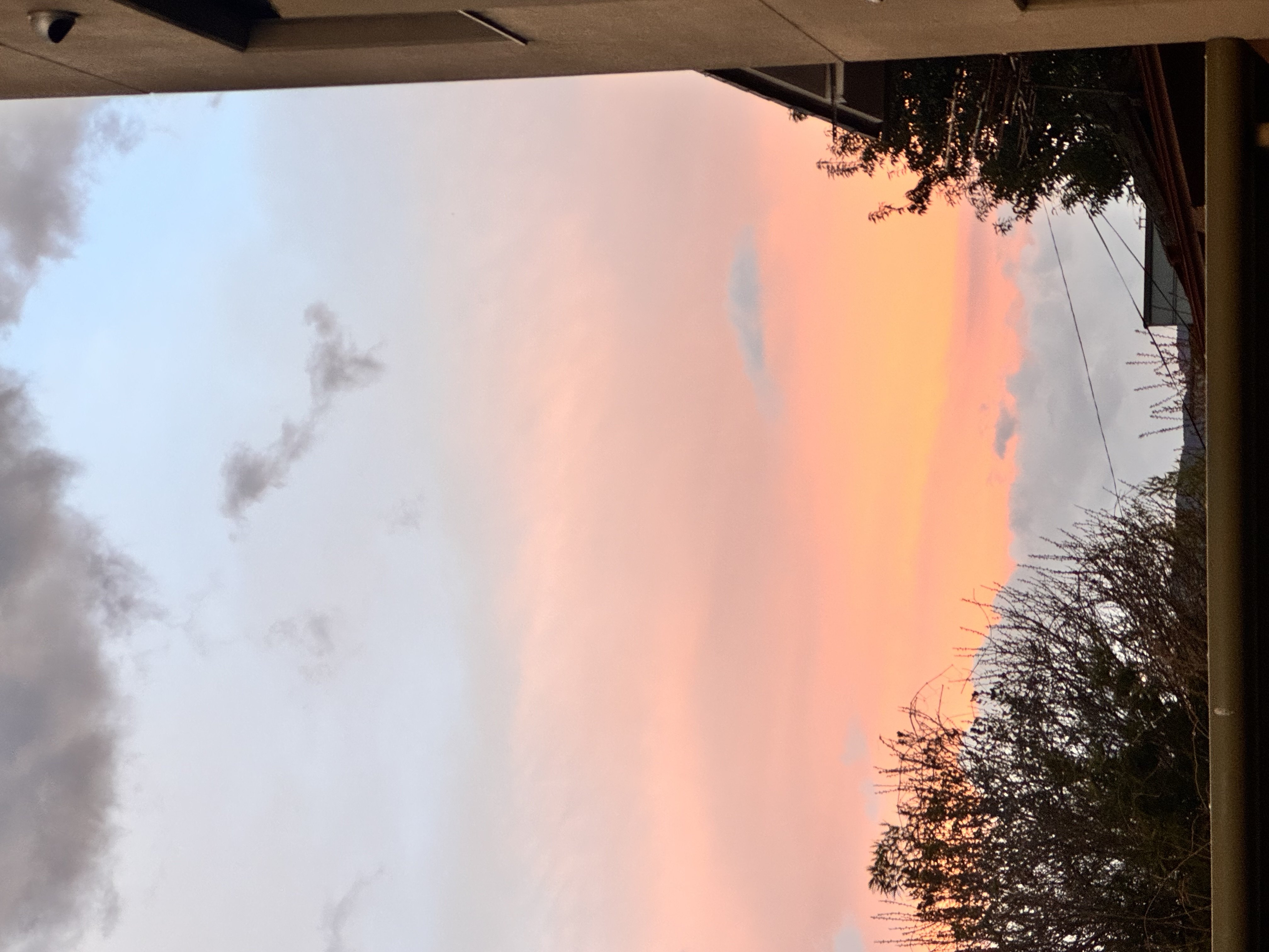 �����äƤޤ�(1)�ä�����✫�Ĥ��������̿�