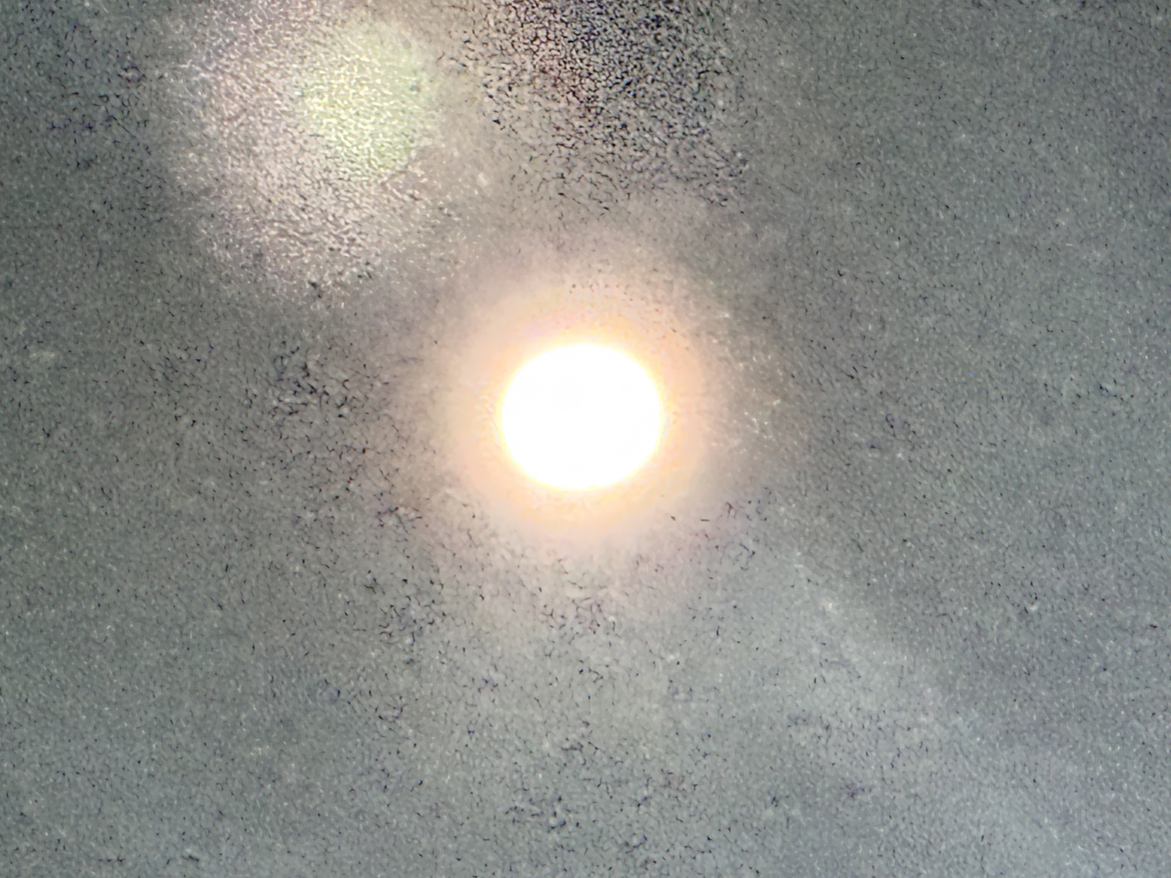 ����ʪ�������ʤ�w�ä�����✫�Ĥ��������̿�