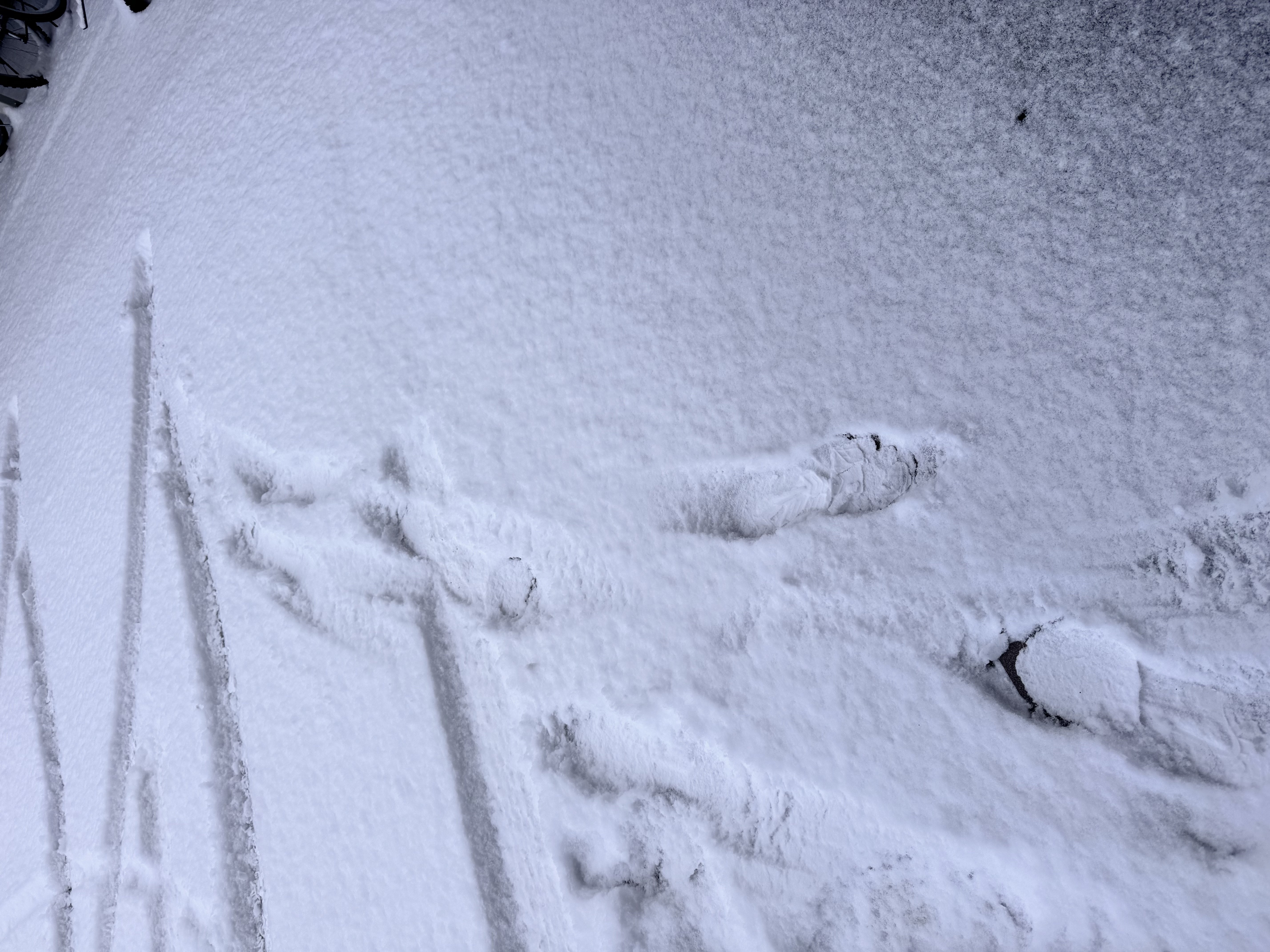 �����äȥ�������ä�����✫�Ĥ��������̿�