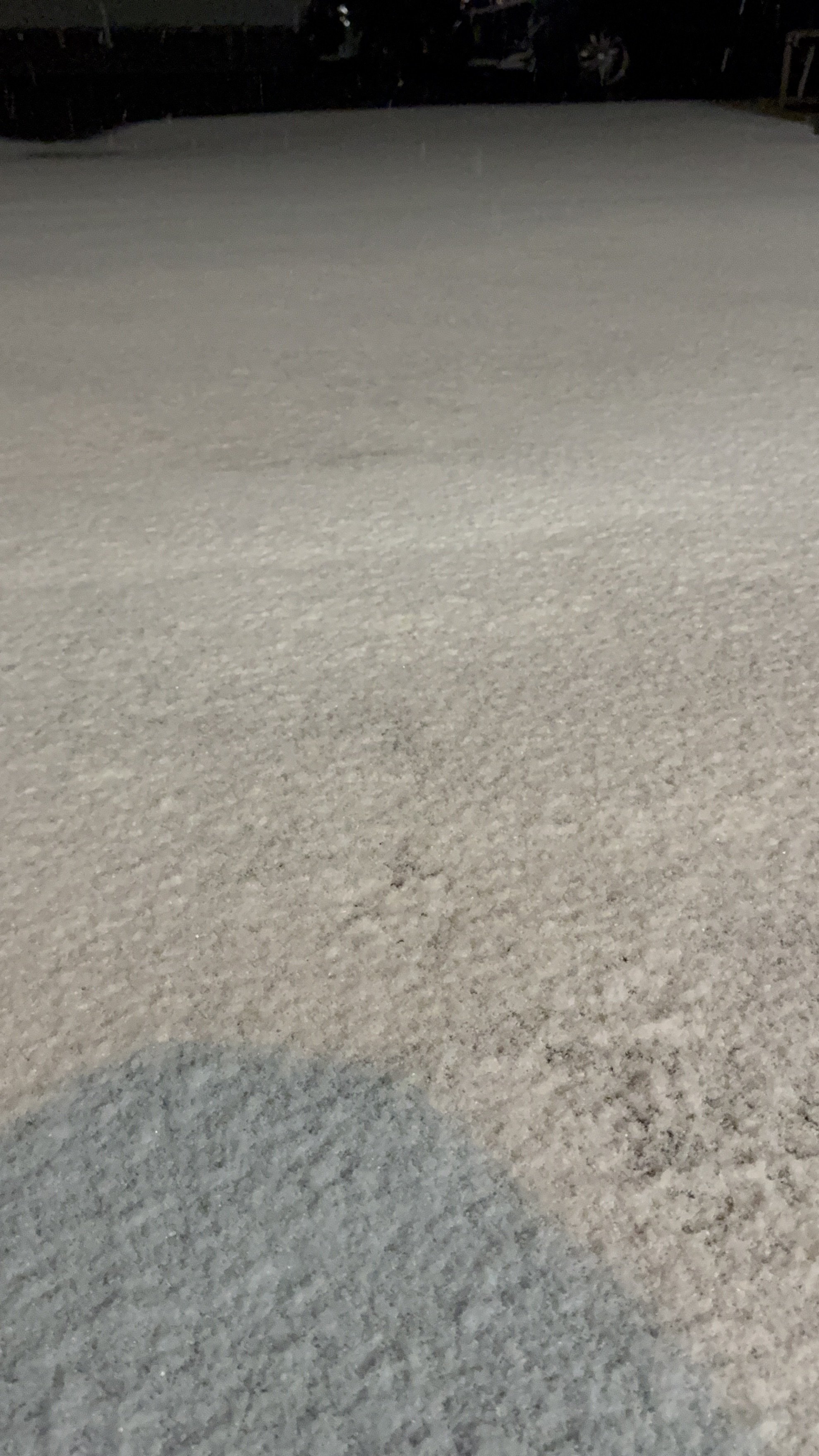 ������פǤ������ä�����✫�Ĥ��������̿�