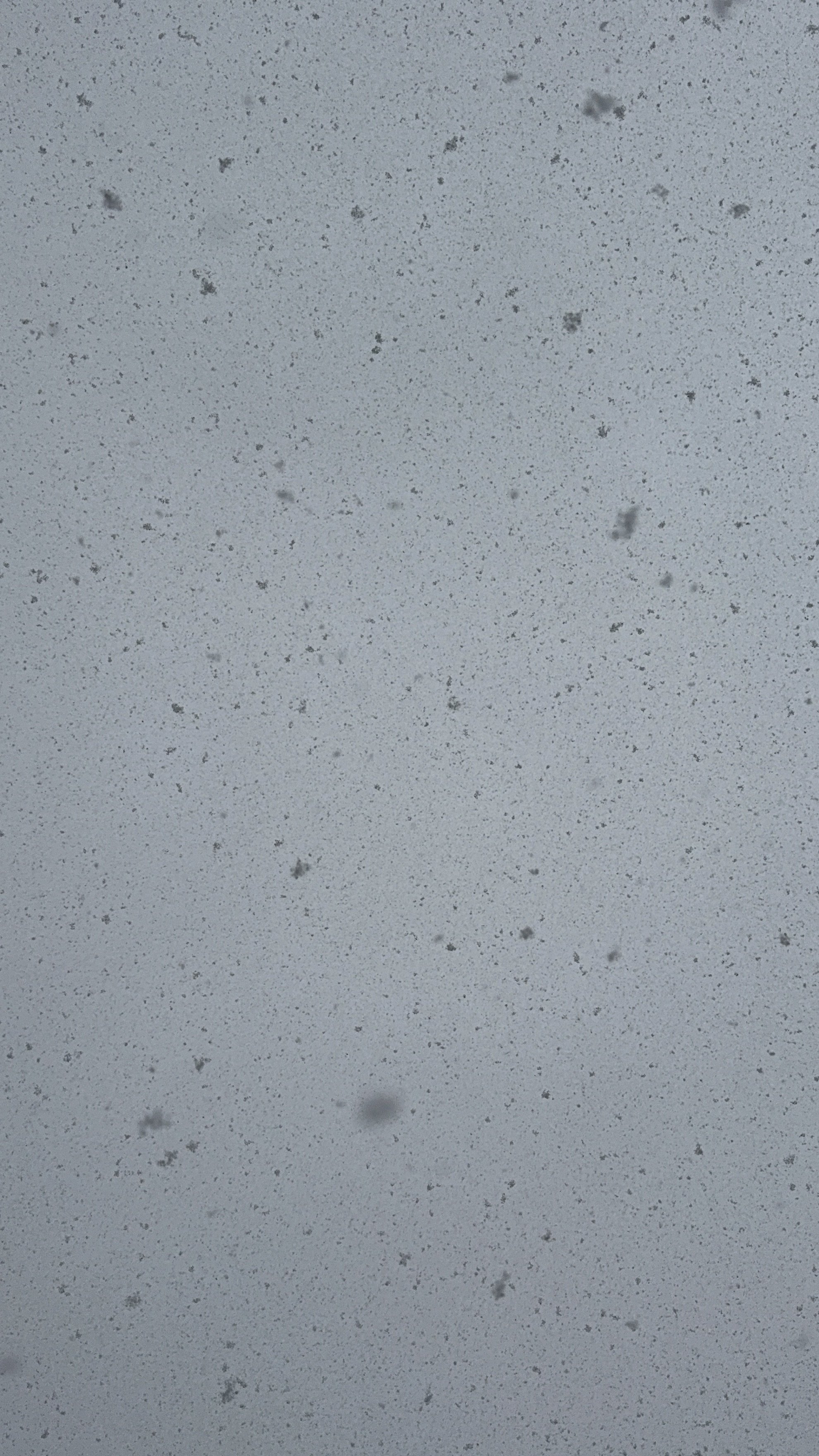 ��������Ǥ��ʤ�����ä�����✫�Ĥ��������̿�