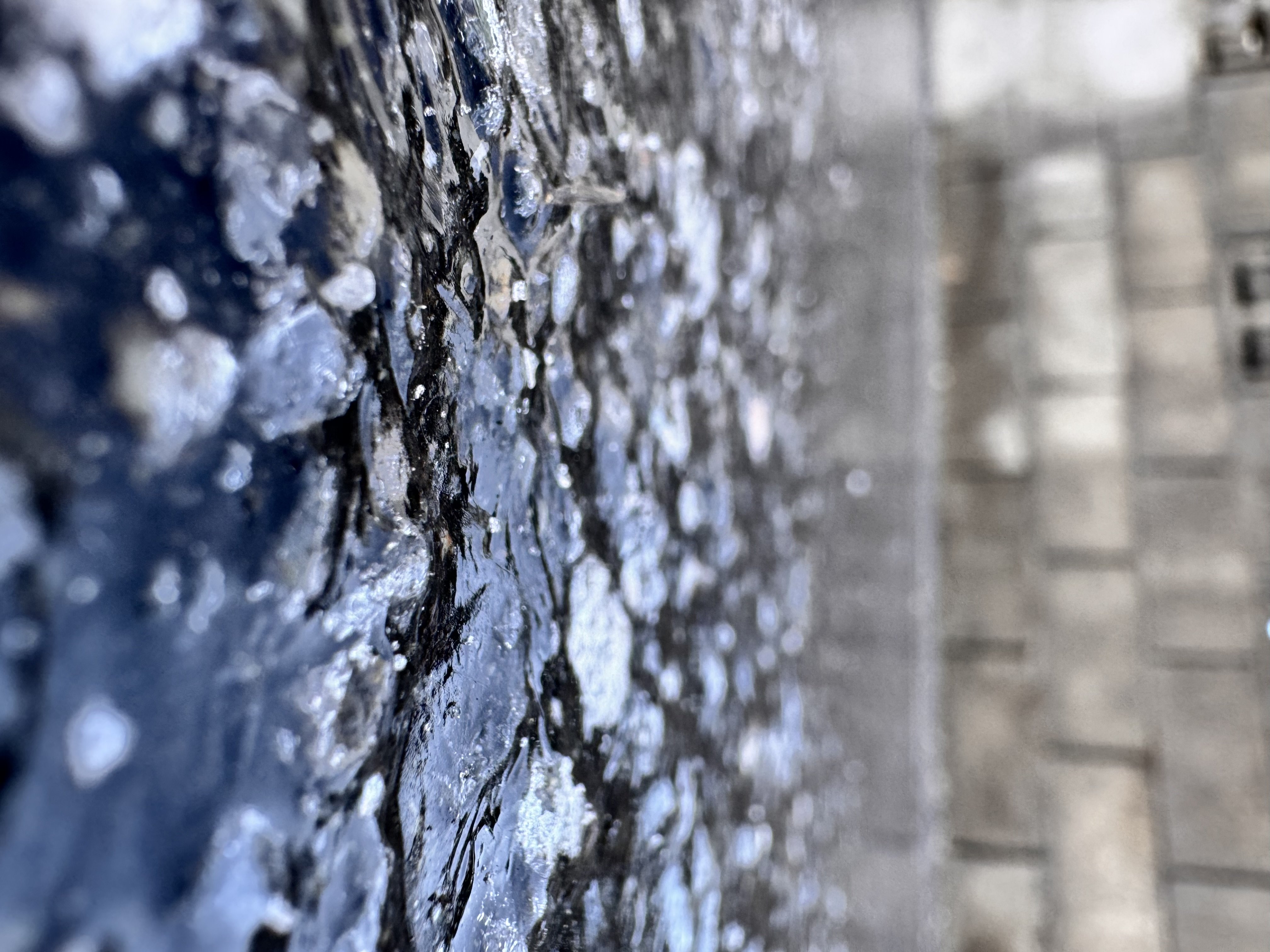 ���������ä�����✫�Ĥ��������̿�