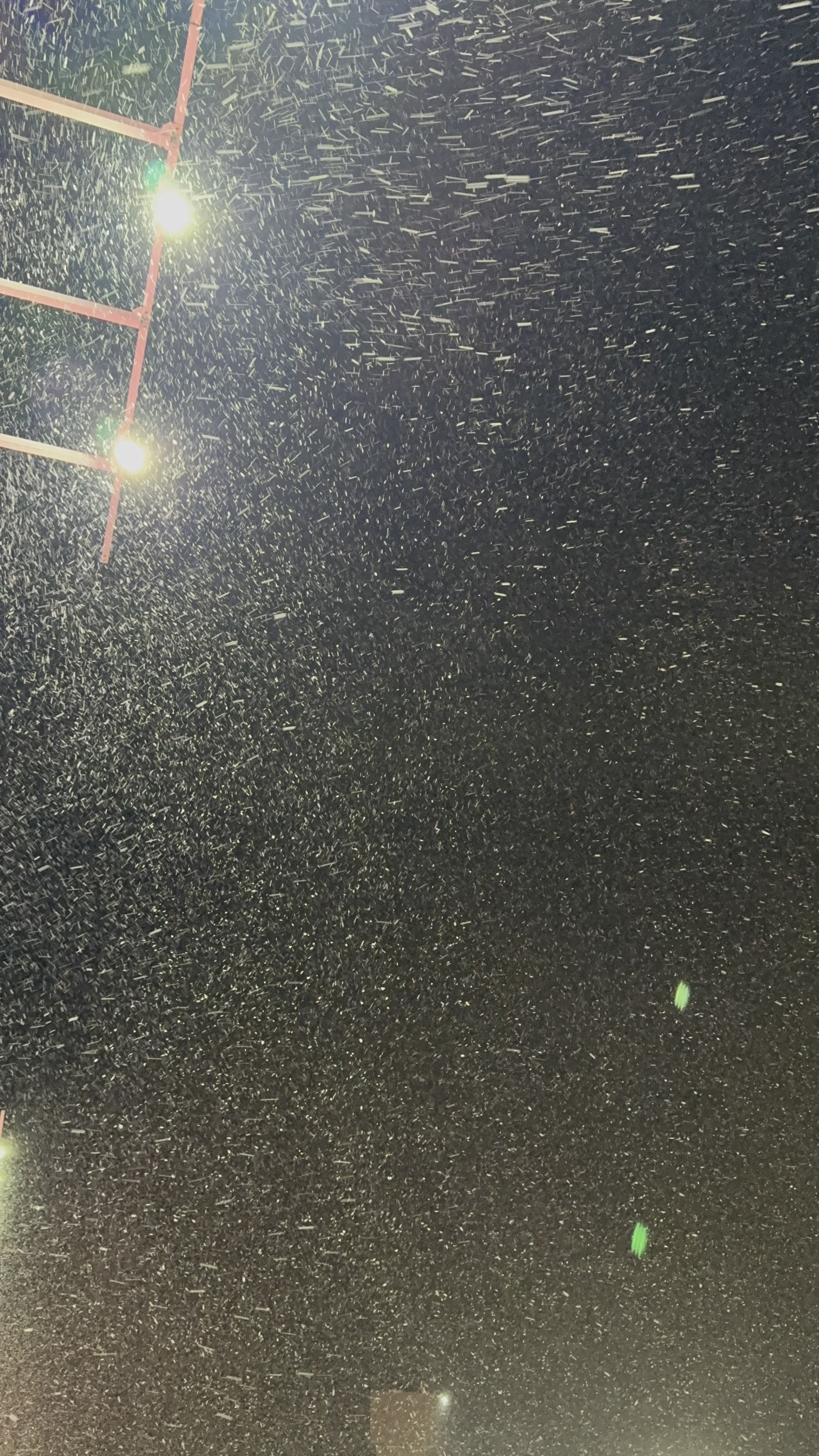 ���߲�🍻�ä�����✫�Ĥ��������̿�