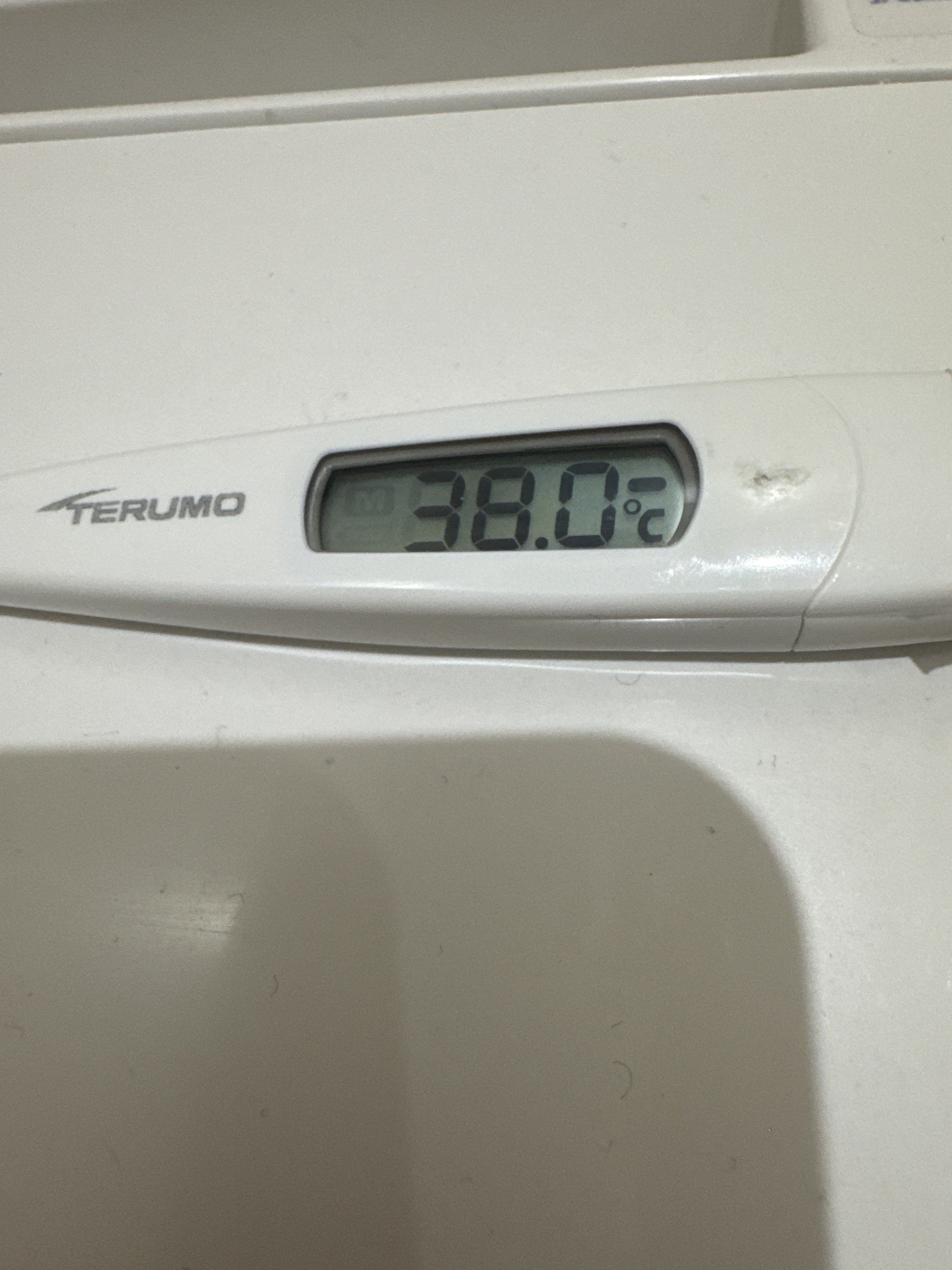 11���Υ�������ä�����✫�Ĥ��������̿�