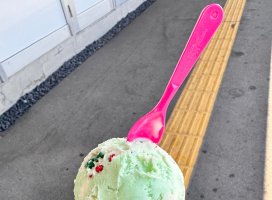 1��1�����ޤ줵��