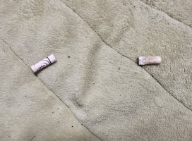 ���������Τ⡢��