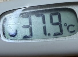 �Ĥ��˲椬�Ȥ⡦����