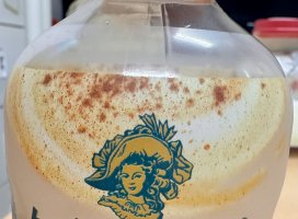 ������ͤǤ���✨