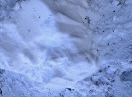 �����ۤ��������ޤ���