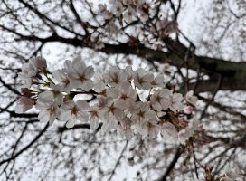 ���Τ��Τ餻