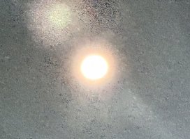 ����ʪ�������ʤ�w