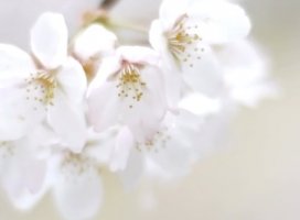 3���Ⱦ��������ͽ��