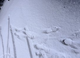 �����äȥ�������