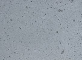 ��������Ǥ��ʤ�����