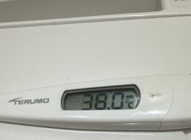 11���Υ�������