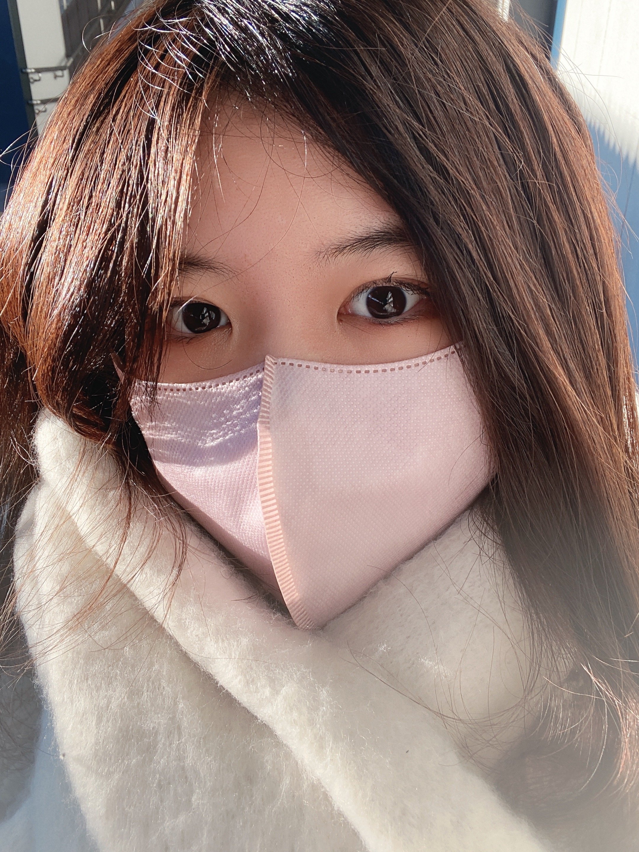 🎍��ǯ�Τ�����🎍�ä��ޤ��������̿�